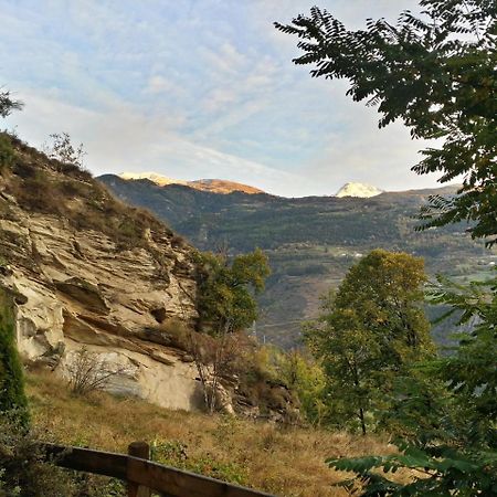 דירות אינטרוד Il Rifugio Della Volpe מראה חיצוני תמונה