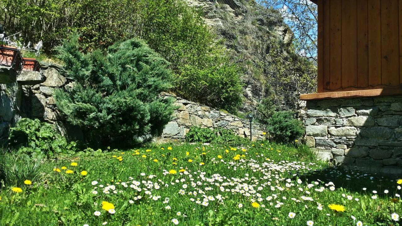 דירות אינטרוד Il Rifugio Della Volpe מראה חיצוני תמונה